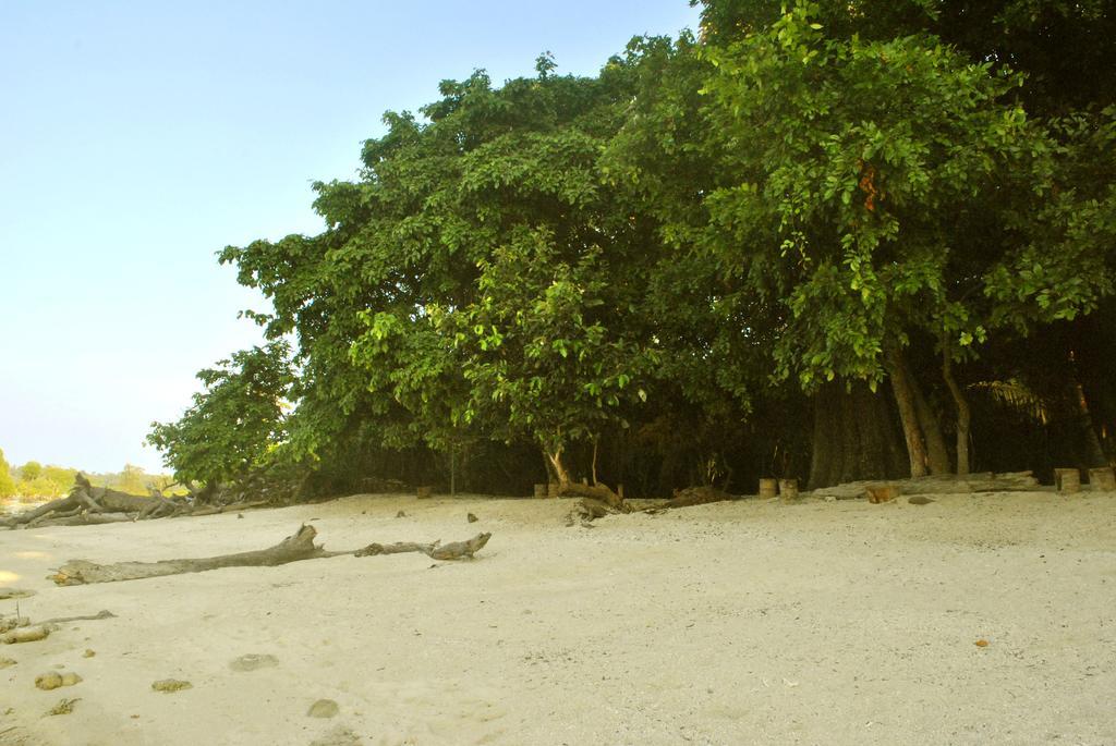 Sea Shell Neil Otel Lakshmanpur Dış mekan fotoğraf